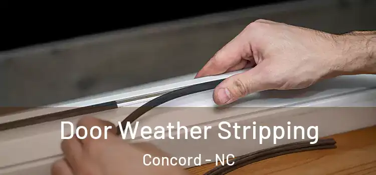  Door Weather Stripping Concord - NC