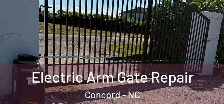  Electric Arm Gate Repair Concord - NC