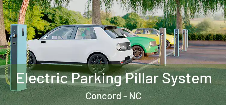  Electric Parking Pillar System Concord - NC