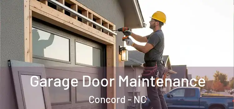  Garage Door Maintenance Concord - NC