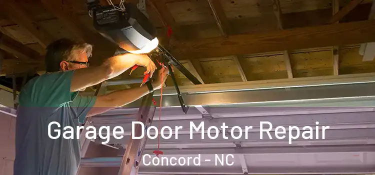  Garage Door Motor Repair Concord - NC