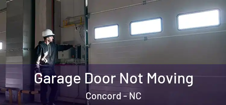  Garage Door Not Moving Concord - NC