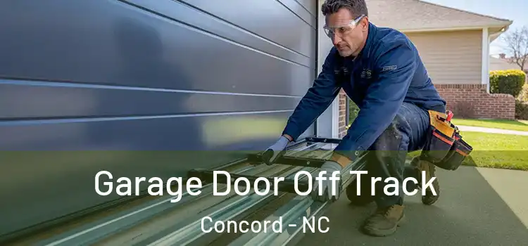  Garage Door Off Track Concord - NC