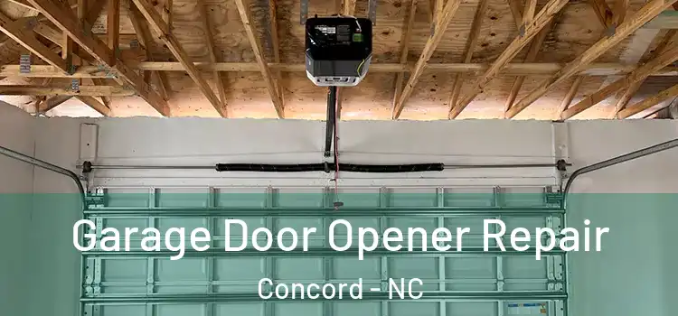  Garage Door Opener Repair Concord - NC