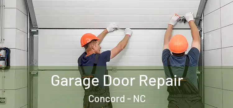  Garage Door Repair Concord - NC