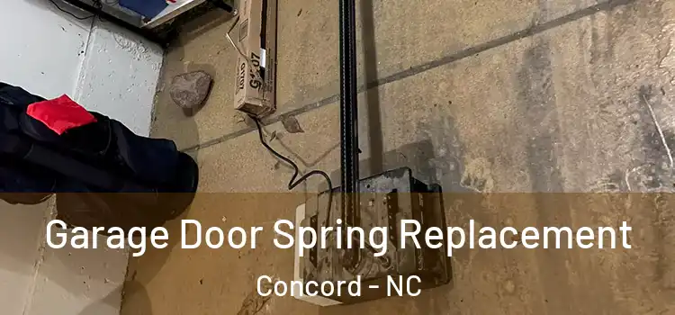  Garage Door Spring Replacement Concord - NC