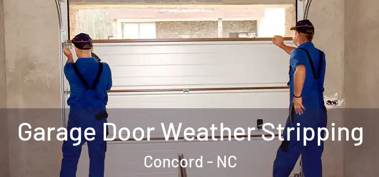  Garage Door Weather Stripping Concord - NC
