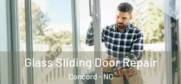  Glass Sliding Door Repair Concord - NC