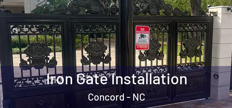  Iron Gate Installation Concord - NC