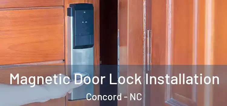  Magnetic Door Lock Installation Concord - NC