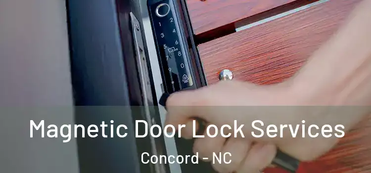  Magnetic Door Lock Services Concord - NC