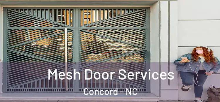 Mesh Door Services Concord - NC