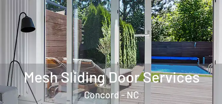  Mesh Sliding Door Services Concord - NC