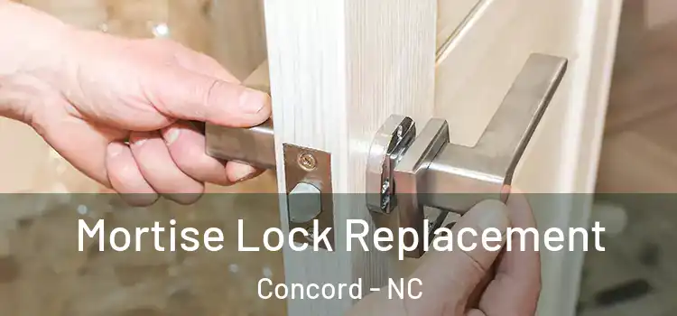 Mortise Lock Replacement Concord - NC