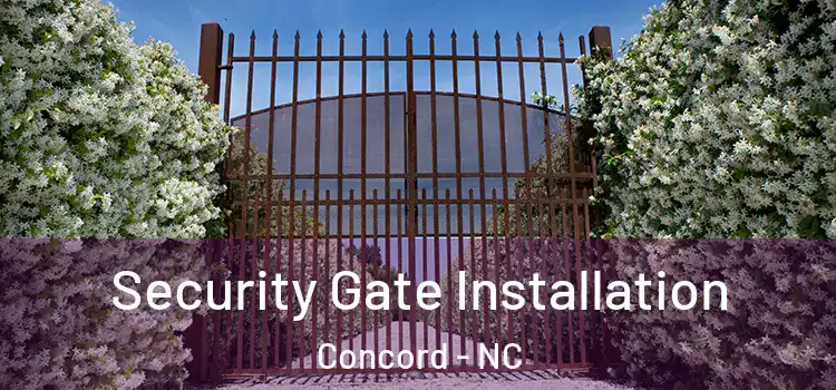  Security Gate Installation Concord - NC