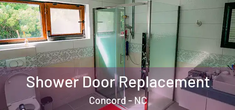 Shower Door Replacement Concord - NC