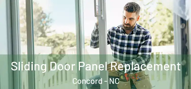  Sliding Door Panel Replacement Concord - NC