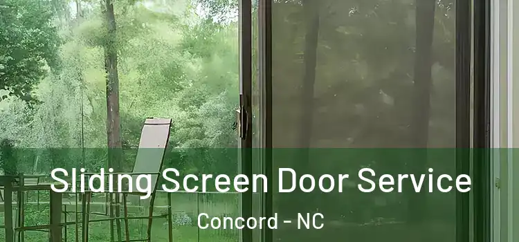  Sliding Screen Door Service Concord - NC