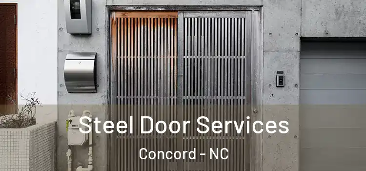  Steel Door Services Concord - NC